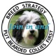 Breed Strategy logo